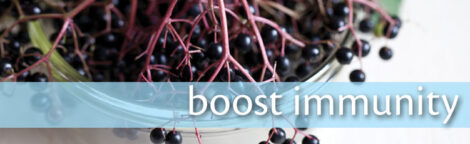 Build Your Immune System With Herbs Image